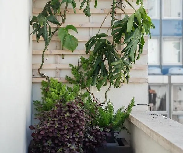 Apartamento de 3 Dormitorios